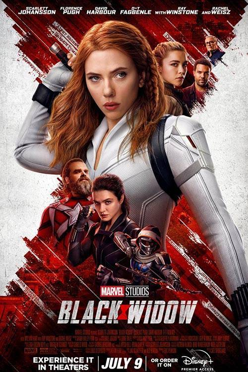 Banner for filmen «Black window»